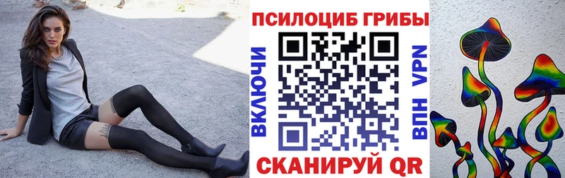 Псилоцибиновые грибы мухоморы  Ноябрьск 